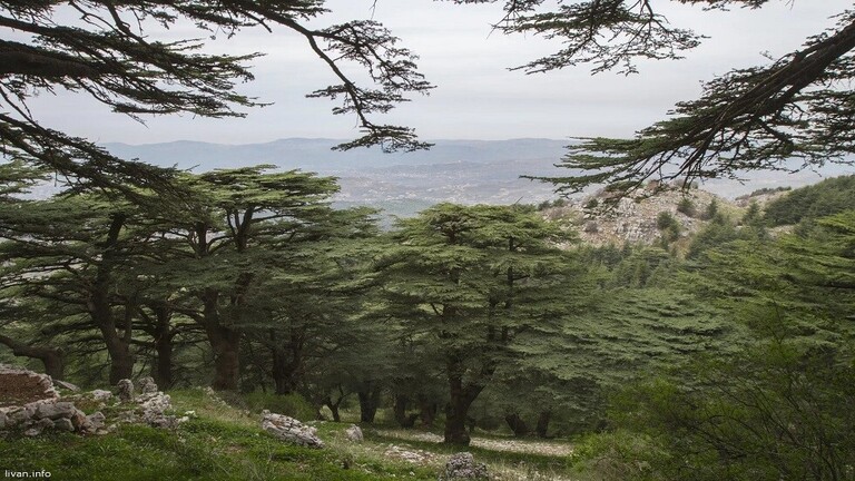 لبنان يبني مختبراً فلكياً في موطن جبران